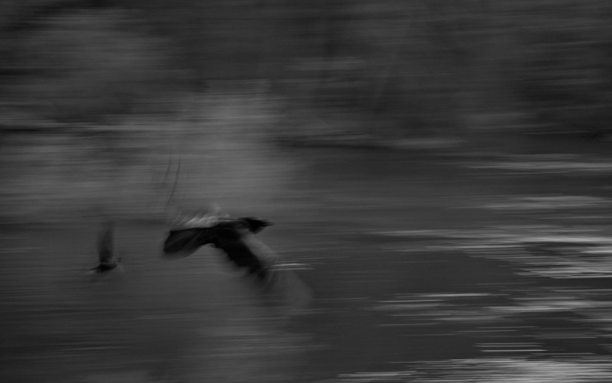 The Return by Geneen Marie Haugen